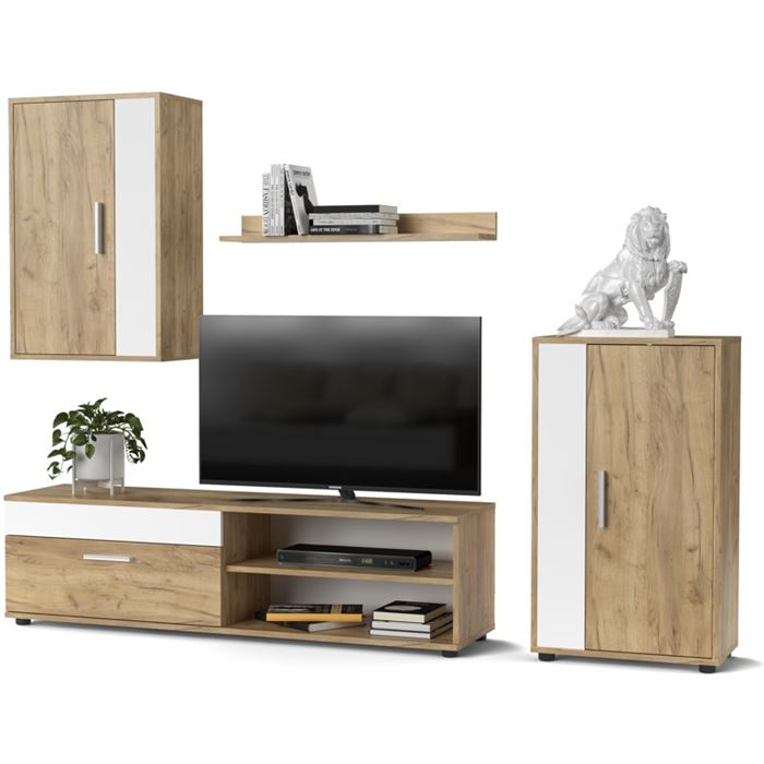 Una sala de estar de estilo moderno con un mueble multimedia de madera que alberga un televisor de pantalla plana, armarios, una estantería con libros, una planta en maceta y una escultura de un león.