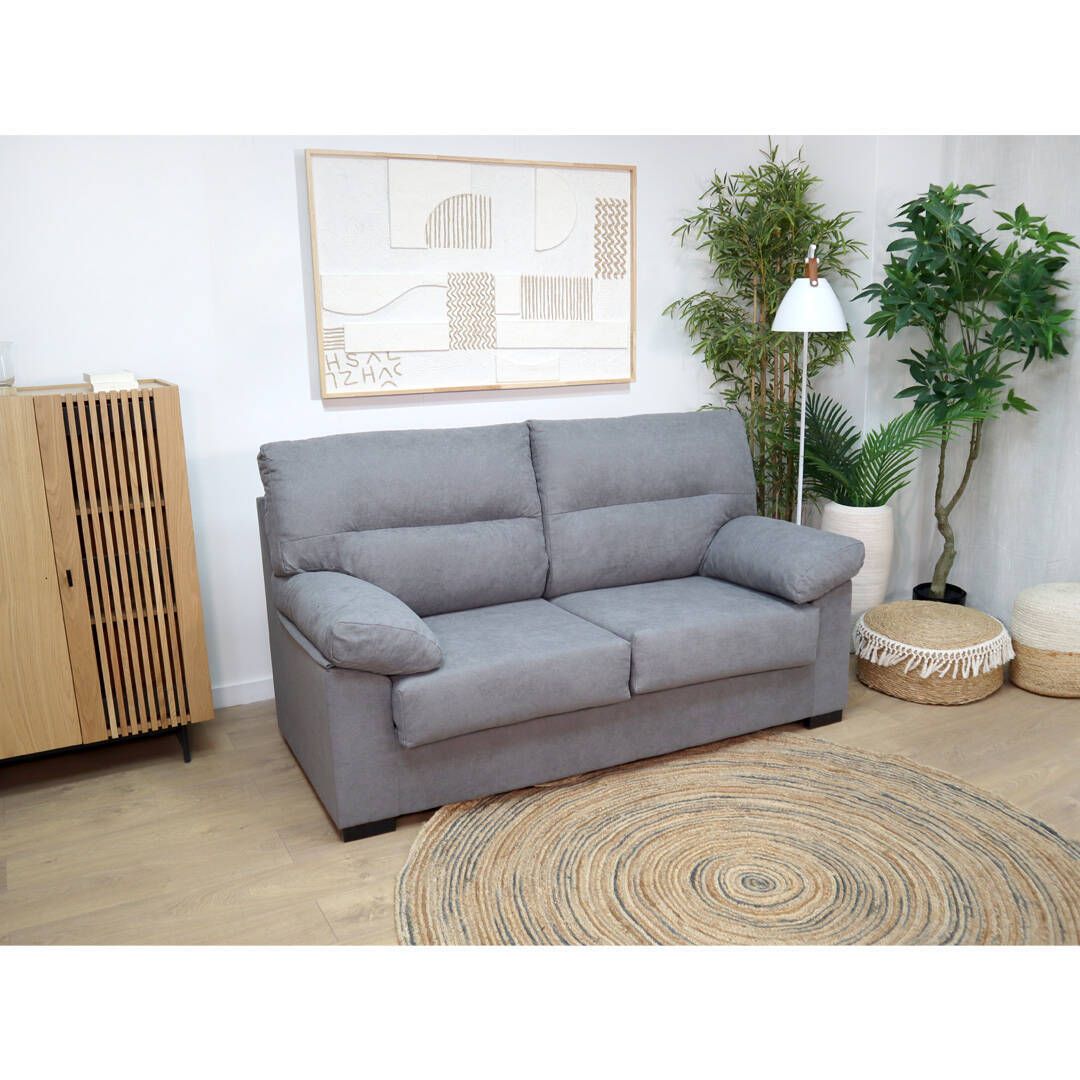 Sofá gris en un acogedor salón con suelo de madera, alfombra redonda y plantas en macetas. Las obras de arte minimalistas de la pared y un armario de madera aportan calidez.