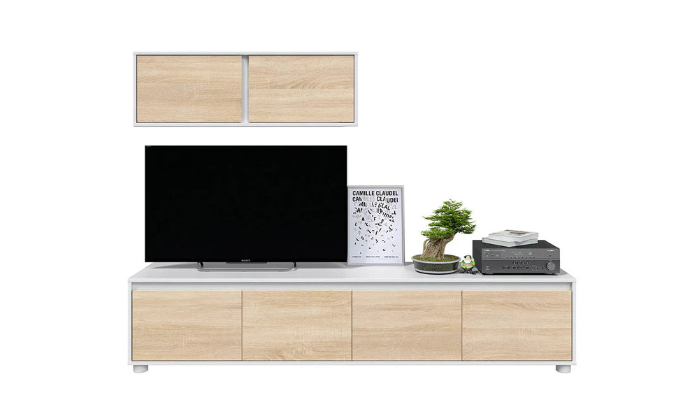 Mueble de entretenimiento moderno de diseño elegante, con un televisor de pantalla plana, un póster, un bonsái y un equipo de audio sobre un mueble de madera.